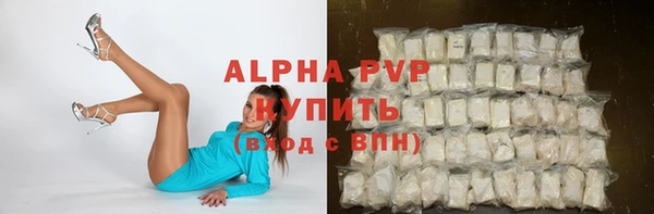прущие грибы Армянск