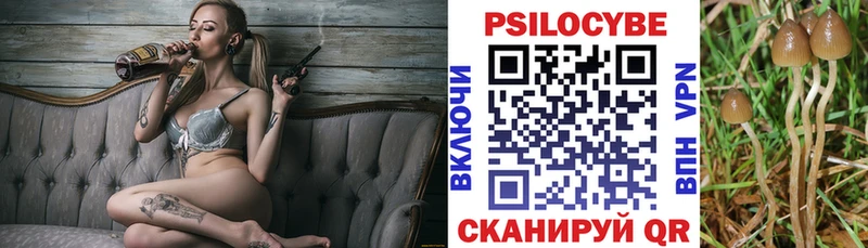 Галлюциногенные грибы GOLDEN TEACHER Купить закладки Бирск